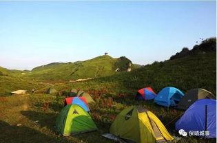 郴州露营爆料案件最新进展,真相逐步浮出水面  第1张