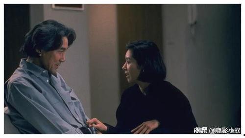 外国理论电影在线观看,外国理论电影在线观影指南  第3张