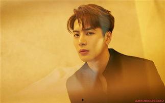 王嘉尔圈外女友爆料视频,揭秘明星背后的情感世界 第1张 王嘉尔圈外女友爆料视频,揭秘明星背后的情感世界 第1张